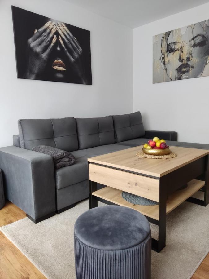 Apartament Janis Διαμέρισμα Zator Εξωτερικό φωτογραφία