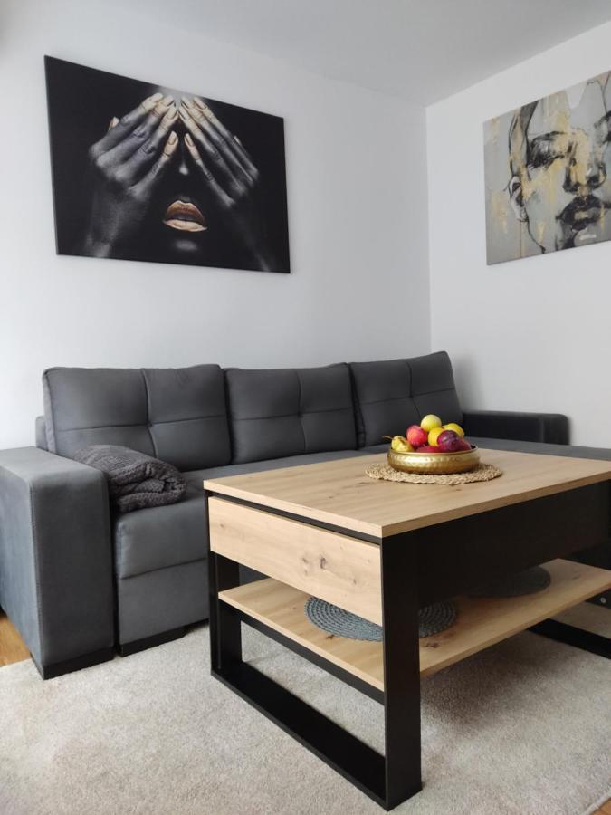 Apartament Janis Διαμέρισμα Zator Εξωτερικό φωτογραφία